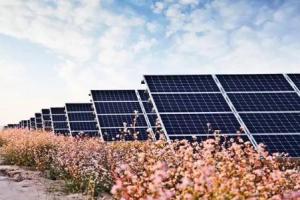 隆基股份新年再次降價 光伏行業(yè)整合即將開始