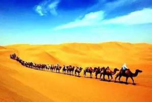 西北五省青海篇 | 新疆絲路基建會觀眾組織獲西寧專業觀眾強烈反響！