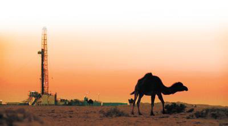 “能源巨人”在非洲