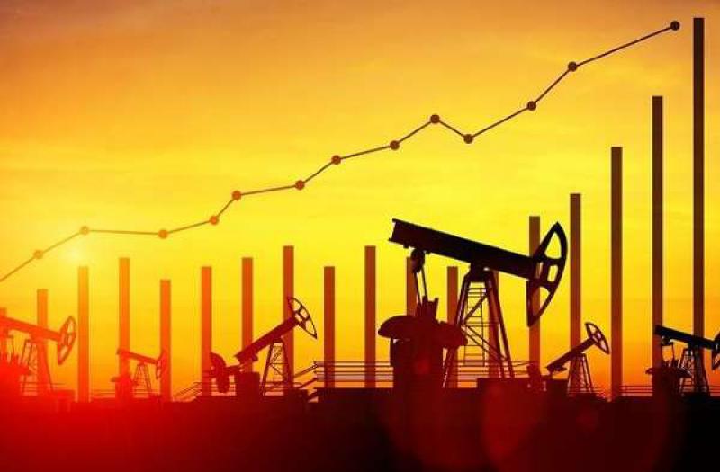 國際石油價格的不確定性引發埃及預算危機