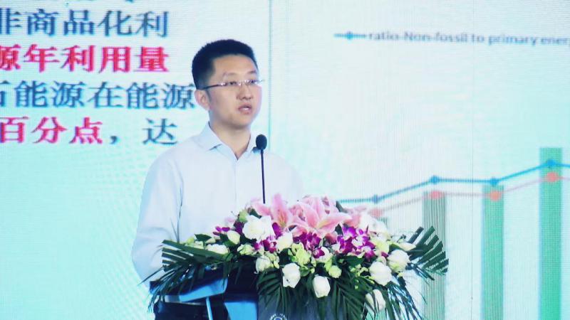 陶冶：中國可再生能源發(fā)展及市場(chǎng)趨勢(shì)