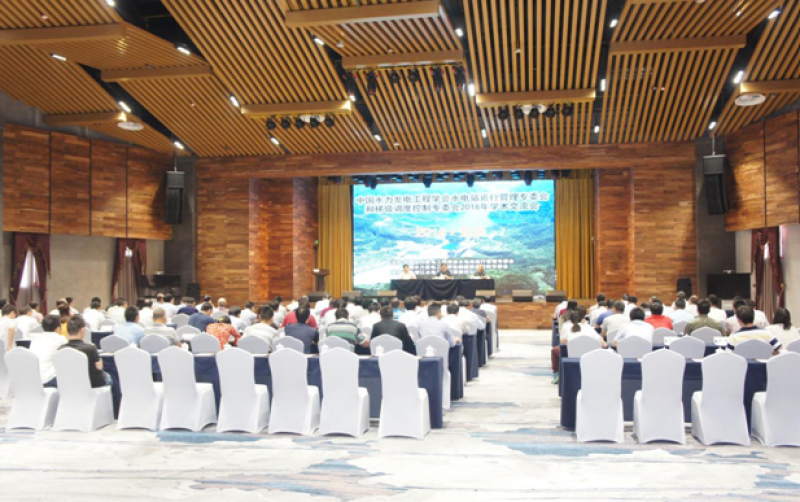 水電站運行管理、梯級調度控制專委會聯合召開2018年學術交流會