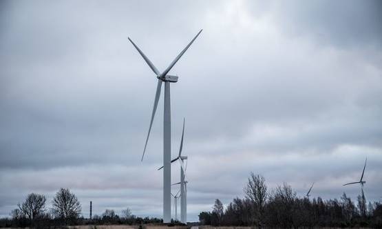強風使愛沙尼亞風電場滿負荷運轉，電力市場價格也受影響