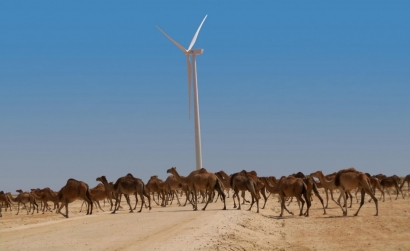 Elecnor被授予毛里塔尼亞第二個(gè)風(fēng)電場(chǎng)的建設(shè)權(quán)