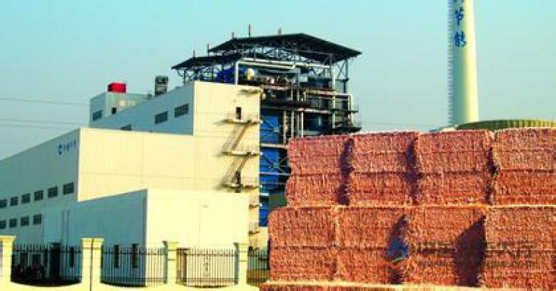 郭云高：失去“電價(jià)補(bǔ)貼” 生物質(zhì)和燃煤耦合生物質(zhì)發(fā)電該如何發(fā)展？