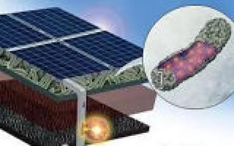 加拿大開(kāi)發(fā)出大腸桿菌太陽(yáng)能電池