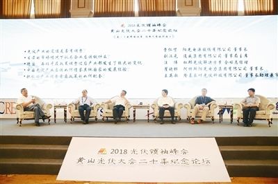 “531新政”開啟微利時代 海外市場或成光伏突圍新方向