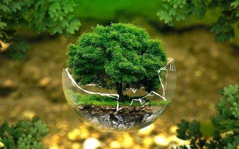 歐洲第一個汽車可再生能源PPA支持企業應對氣候變化