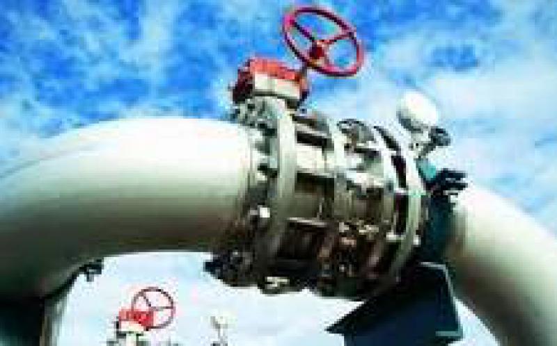 埃及石油部長埃爾瓦坦說，埃及將從1月開始出口天然氣