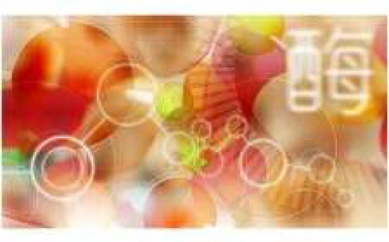 紅藻中發現可增加生物燃料產量的酶