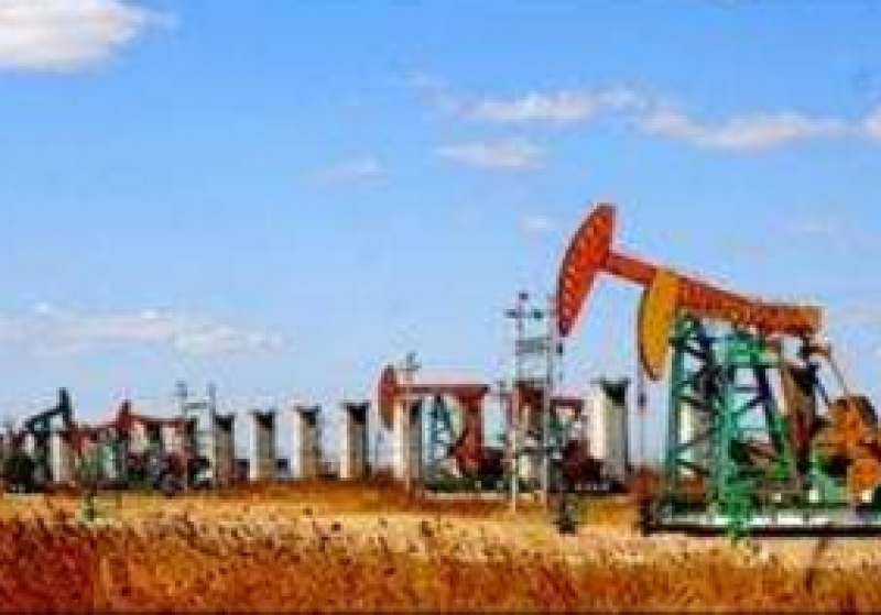 國內最大致密油示范區提質提速