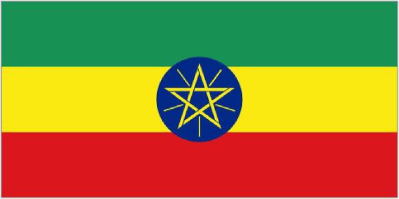 埃塞俄比亞能源概況：化石燃料已具備商業(yè)開(kāi)采規(guī)模