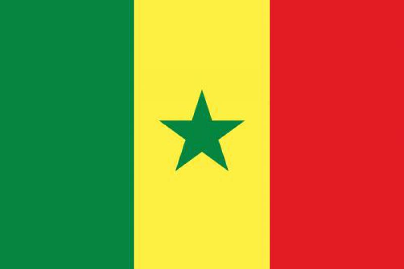 塞內加爾能源概況