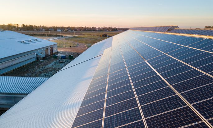 愛(ài)沙尼亞奶牛場(chǎng)開始工作的太陽(yáng)能發(fā)電廠處于最高容量