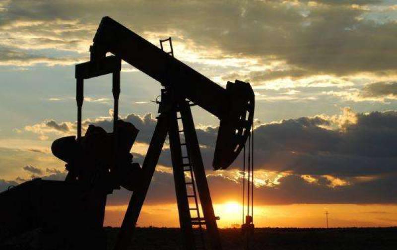 推動“一帶一路”能源合作 維護全球能源安全