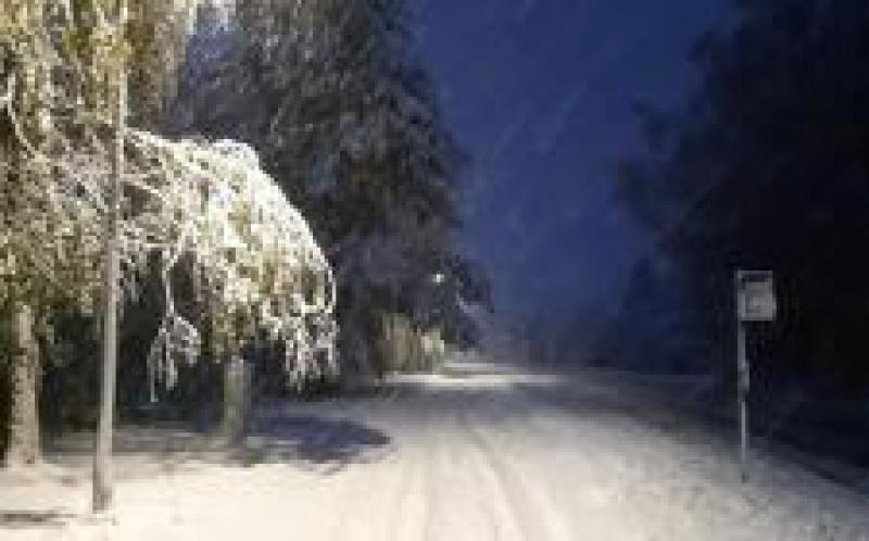 愛(ài)沙尼亞南部地區(qū)受暴風(fēng)雪影響，致數(shù)萬(wàn)家庭無(wú)電