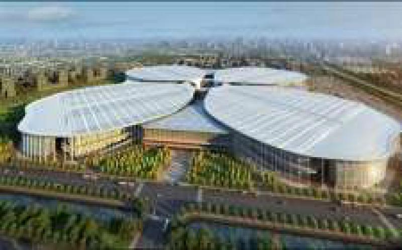 孟振平參加進博會開幕式，加快建設成為具有全球競爭力的世界一流企業，將加強對“一帶一路”沿線國家的能源資源開發與合作