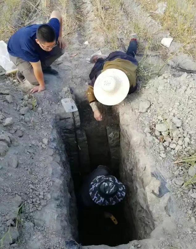 重大突破！新疆發現近千公里“硒腰帶”