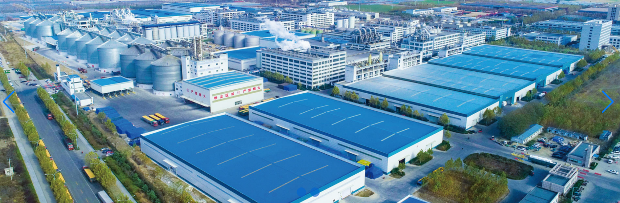 端點(diǎn)科技攜手金玉米，深耕農(nóng)業(yè)采購“良田”