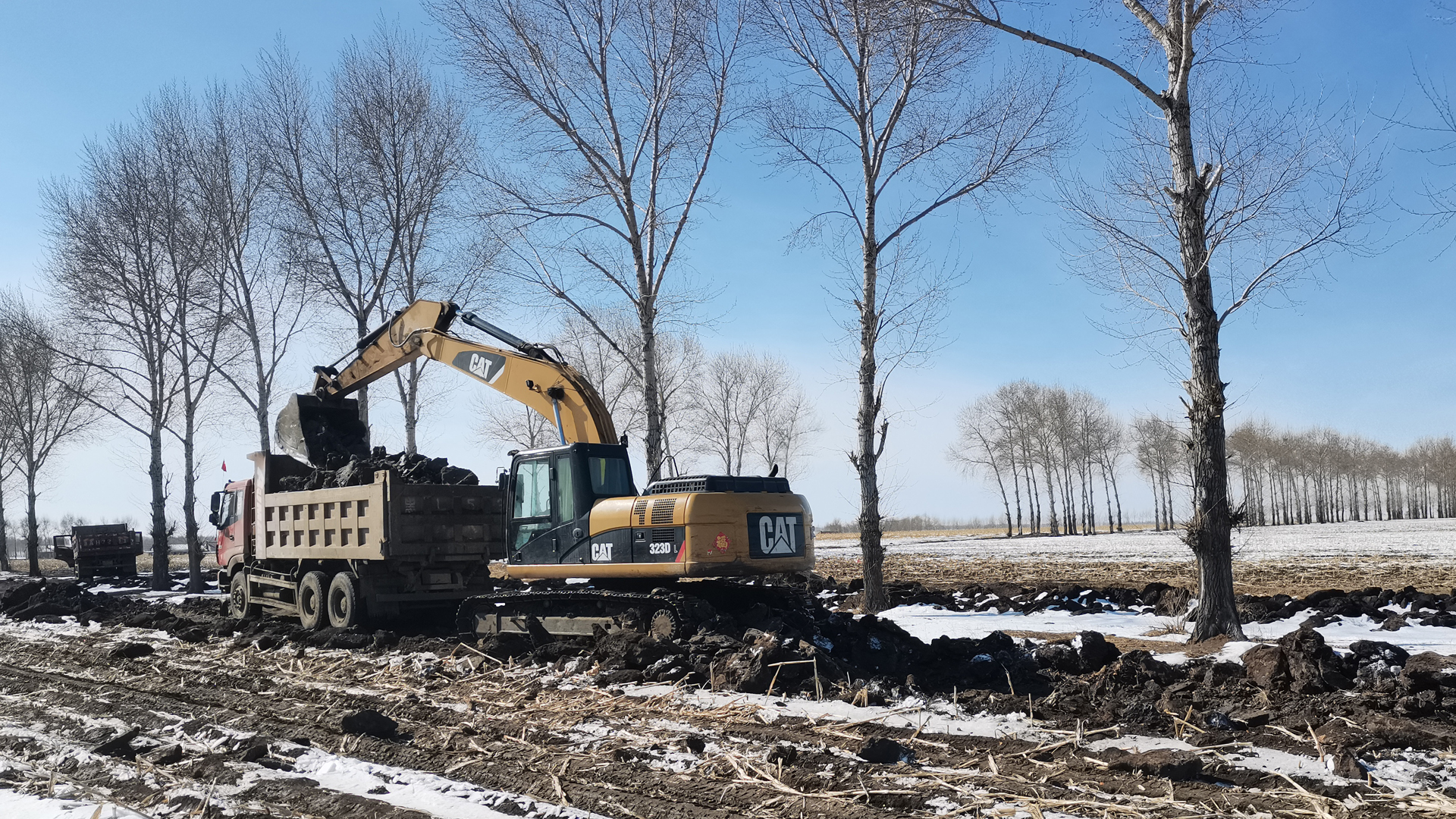 龍江縣2021年東北黑土地保護建設(shè)項目（第八標段）全面復工